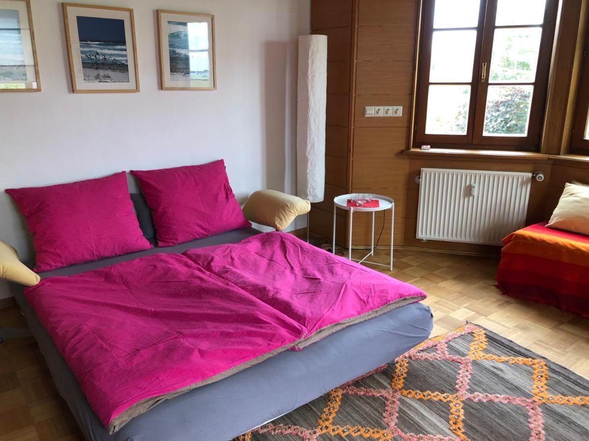 Ferienwohnung Am Donauradwanderweg Riedlingen Exterior photo